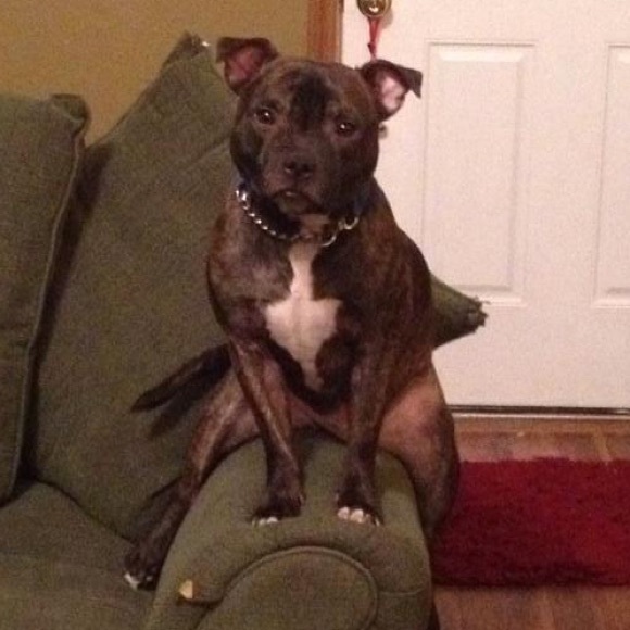 2000+ 5⭐️ REVIEWS - Picture 17 of 17